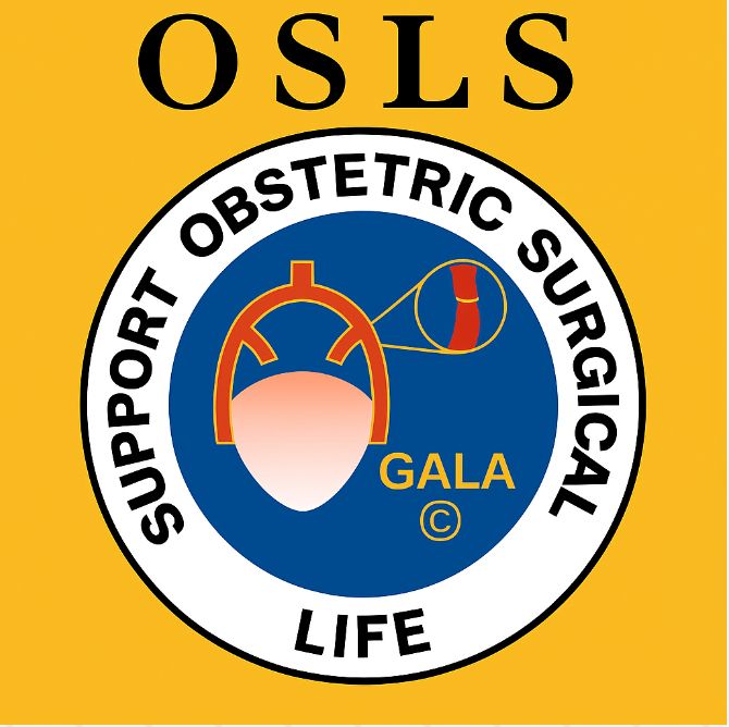 logo olsss